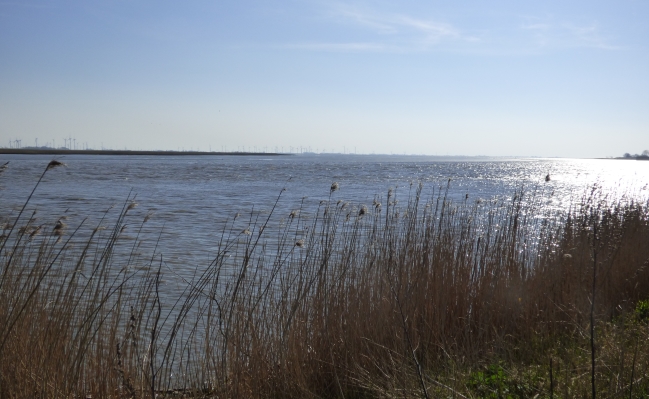 Befliegung der Eider