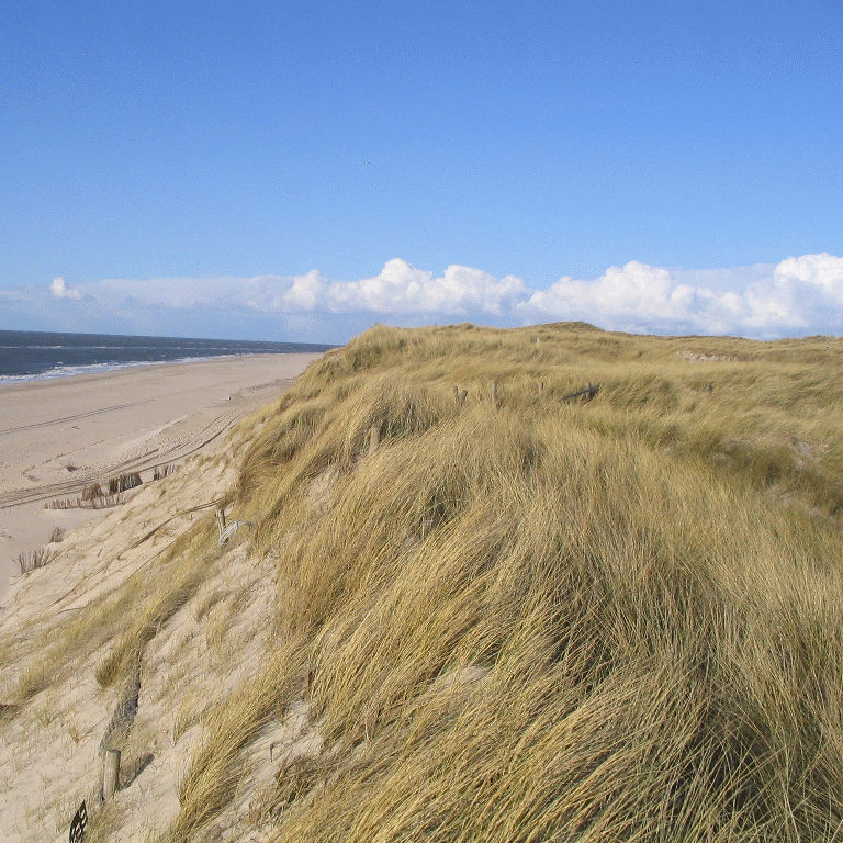 Foto: Steilküste auf Sylt