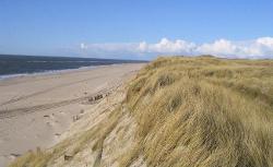 Das Bild zeigt eine Landschaft direkt  an der Nordsee. Es befindet sich vor dem Deich.