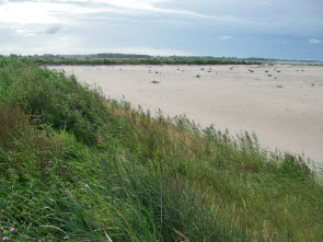 Foto: Küstenlandschaft