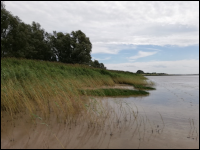 Gewaesserökologie BS-Logo Gewaesserökologie BS-Logo