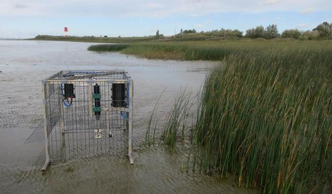 Das Bild zeigt eine Wellenmessstation. Es befindet sich in Ufernähe, sodass die Wellenmessstation bei Flut überflutet wird, und Messwerte können aufgezeichnet werden