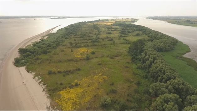 Das Video zeigt "Fahrrinnenanpassung der Unter- und Außenelbe für 14,5 Meter tiefgehende Containerschiffe - Kompensations- und Kohärenzmaßnahmen Schwarztonnensand - Bestand 2019"