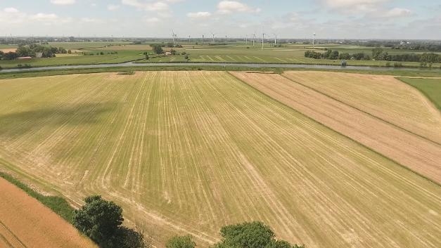 Das Vorschaubild zeigt die "Fahrrinnenanpassung der Unter- und Außenelbe für 14,5 Meter tiefgehende Containerschiffe - Kompensations- und Kohärenzmaßnahmen Wewelsfleth, Neuenkirchen, Bahrenfleth, Hodorf, Siethfeld und Kellinghusen - Bestand 2019-2021"