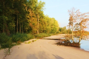 Das Bild zeigt ein naturnahes Ufer bei Hanskalbsand (Foto: M. Heuner)