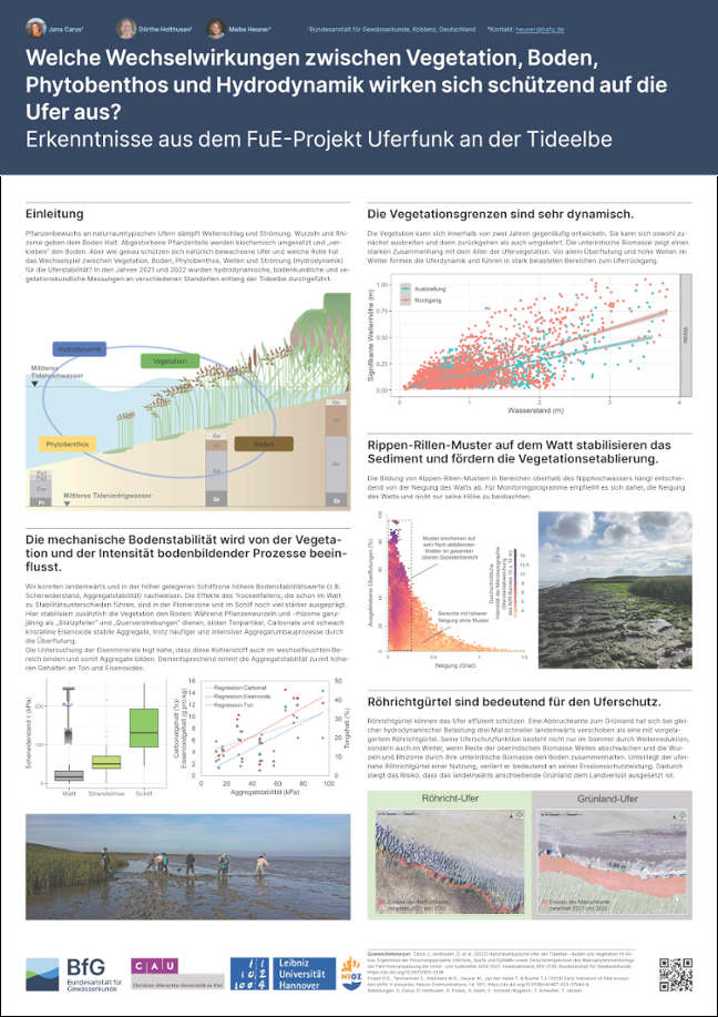 Dieses Bild zeigt einen Poster zum Thema "Welche Wechselwirkungen zwischen Vegetation, Boden, Phytobenthos und Hydrodynamik wirken sich schützend auf die Ufer aus?" Dieses Bild zeigt einen Poster zum Thema "Welche Wechselwirkungen zwischen Vegetation, Boden, Phytobenthos und Hydrodynamik wirken sich schützend auf die Ufer aus?"