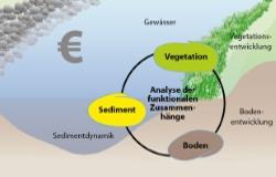 ElbService - Forschung für naturnahe Ufer