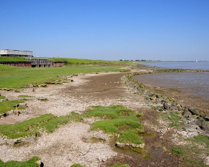 Das Bild zeigt die Sicherung der Erosionskante durch Steinwalzen bei Coldeborg (Foto: Roeloffzen, WSA Ems-Nordsee)